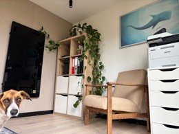 Wnętrze boka ONE — regał i fotel